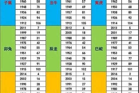 2023 五行屬什麼